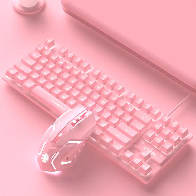 Ensemble clavier et souris filaires rose mignon