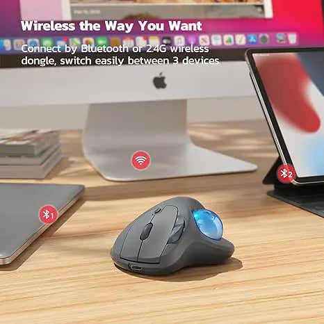 Souris Ergonomique à Trackball Sans Fil